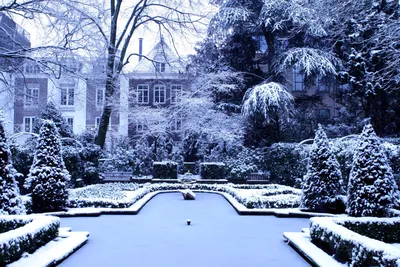 Фото снежных красот: Зимний рай в JPG формате