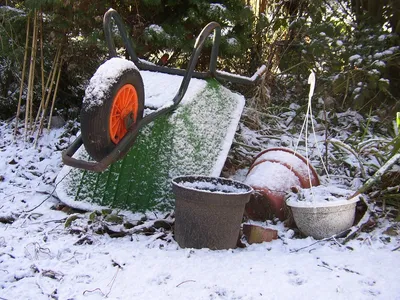 Зимний сад в картинках: Снежные моменты в PNG формате
