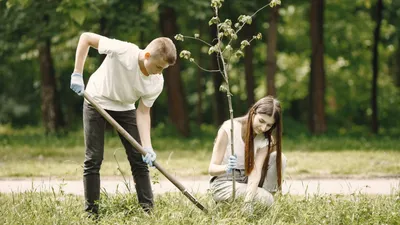 Фото садовых деревьев в стиле 2024: будущее природы