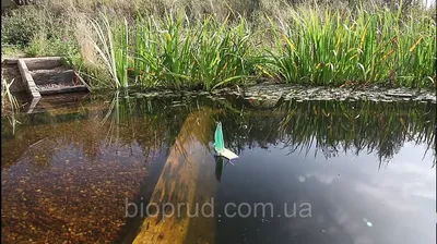 Изображения садовых водопадов: впечатляющие фото на рабочий стол