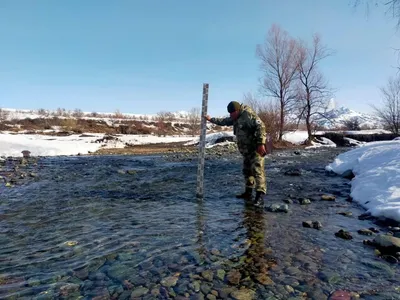 Фото птицы Саджа в полете