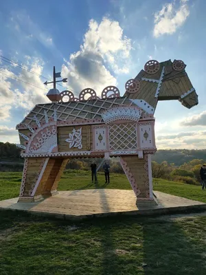 Картинка Сафари парка: зрелищные фотоснимки, захватывающие взгляды