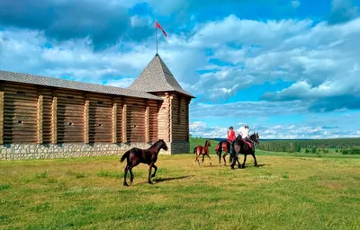 Величие горных вершин Липецкой области: снимки Сафари парка Кудыкина гора, окутанных тайной.