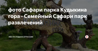 Фото на айфон: украсьте свой гаджет уникальными снимками Сафари парка Кудыкина гора