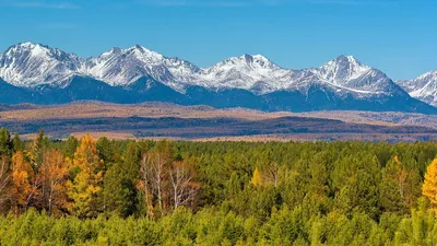 Исследуйте красоту Саянских гор на фотографиях