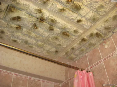 Фото сайдинга в ванной комнате: скачать в WebP формате