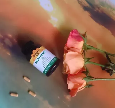 Превосходные фотографии Сайгонской розы для загрузки
