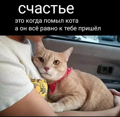 Фото, которые поднимут вам настроение