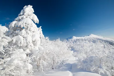 10 Зимних красот Сахалина: Фотографии для скачивания