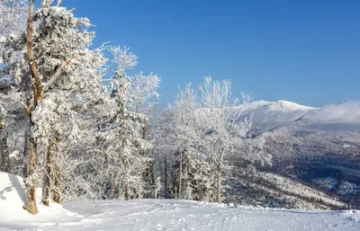 Фото Сахалина зимой: Изысканные картины зимнего пейзажа