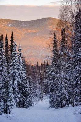 Фотоальбом Сахалин зима: Виды природы и уютные уголки