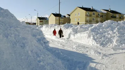 Зимняя атмосфера Сахалина: Фотографии для скачивания