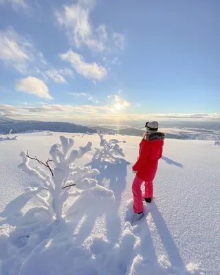 Фотографии Сахалин зимой: Замороженные моменты природы
