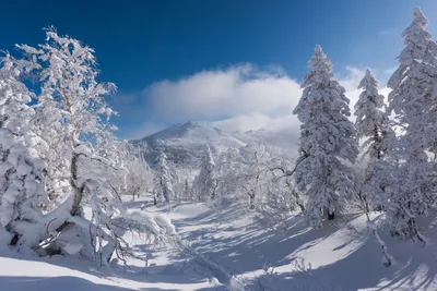Зимний альбом Сахалина: Фотографии с возможностью выбора формата изображения