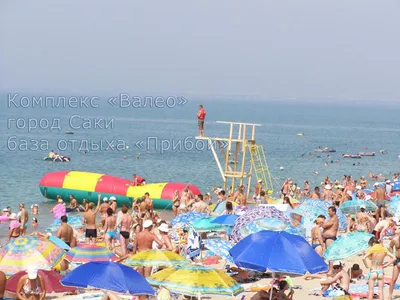 Погрузитесь в природу Саки прибой пляжа с помощью фотографий