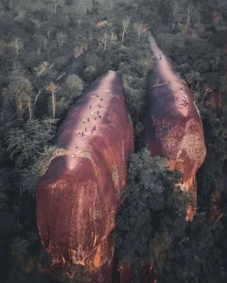 **Сам Ван и его ванная комната: фотографии, которые вдохновляют на творчество**