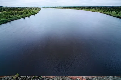 Фон с рисунком самой большой реки