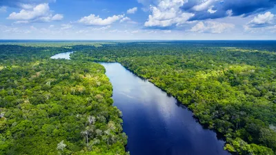 Фото реки в формате WebP для скачивания