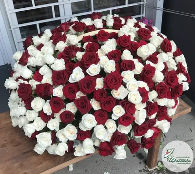 Большое изображение самой грандиозной розы
