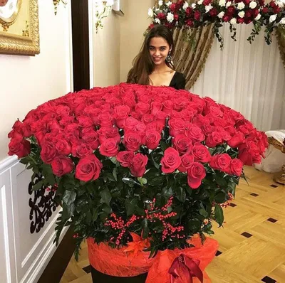 Фото самой крупной розы на планете
