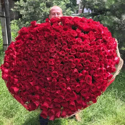 Фото самого яркого изображения розы