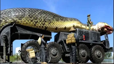 Великолепное фото феноменальных размеров змеиного существа