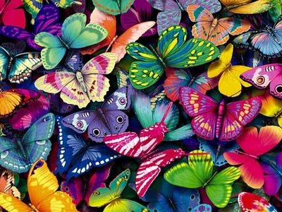 Насладитесь этой красотой: загрузите изображение самой красивой бабочки