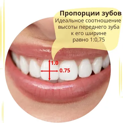 Изображение зубов с привлекательной формой