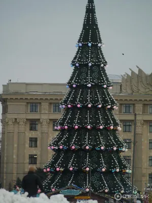 Снежная красота: Новогодние елки в разнообразных форматах