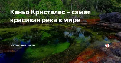 Скачать бесплатно фотографию потрясающей реки