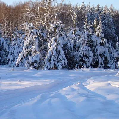 Изображения зимних пейзажей в Самаре: JPG, PNG, WebP на выбор