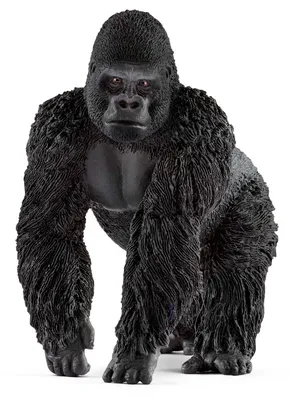 Эксклюзивные снимки самца гориллы: скачивайте в HD качестве