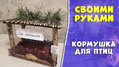 Удобные самодельные кормушки для птиц: фото для вашего комфорта