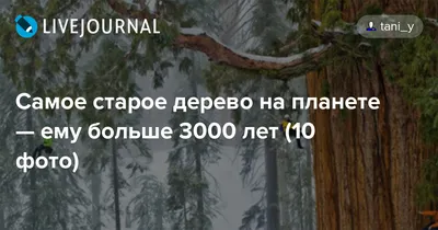 Красота древности: путешествие в эволюцию природы