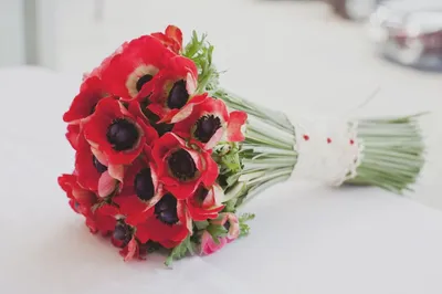 Истинные розы на фото
