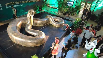 Уникальное изображение: большая змея