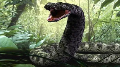 Фотография гигантской змеи: невероятные размеры