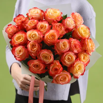 Фото красивой розы в формате png для скачивания