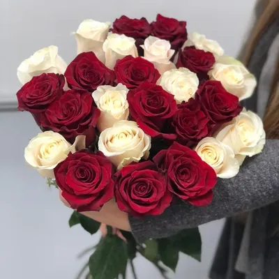 Крупное изображение красивой розы в jpg-формате