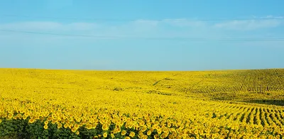 Уникальные добрые картинки: скачать бесплатно в хорошем качестве