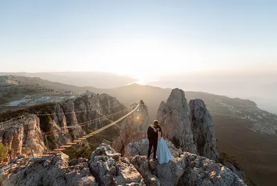 Ладьи среди зеленой гущи: фотографии самых красивых лесов