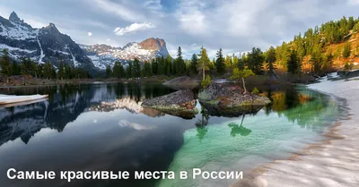 Заросли тайны: фотографии самых загадочных и необъятных лесных мест