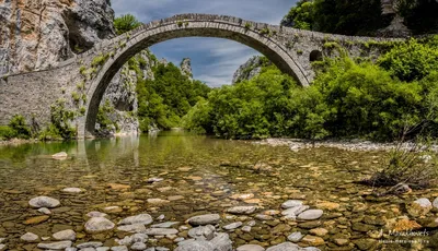 Фото леса в HD качестве: загадочная красота природы.