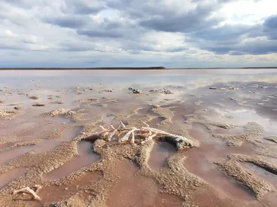 Фото: величие природы Рязанской области на фотографиях