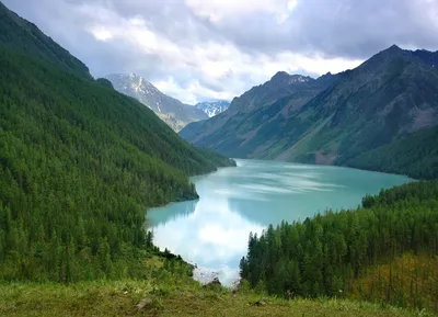 Фотки зеленых лесных массивов и красивых рек Тверской области