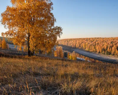 Осенний фейерверк: Яркие и красочные моменты природы