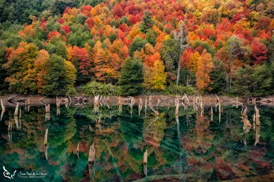 Арт осени: Фотографии в Full HD для рабочего стола