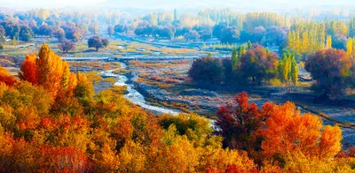 Изысканные пейзажи: Фотографии природы осени в HD качестве