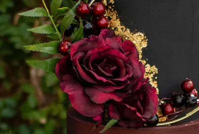 Фото самых красивых роз в мире: доступно в формате webp