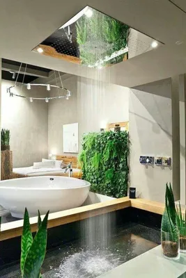 Новые фото самых красивых ванных комнат мира